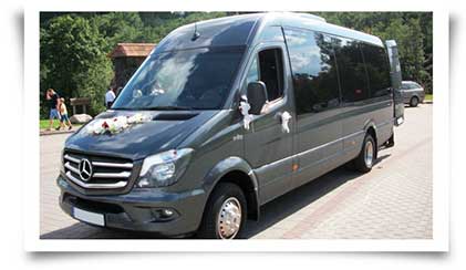 Minibuses for guests transportation